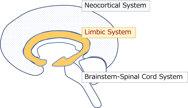 brain-level